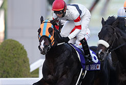 西浦昌一調教助手 - The Interview