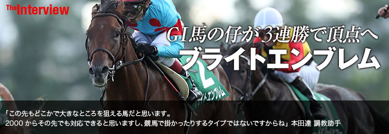 G1馬の仔ブライトエンブレムが3連勝で頂点へ