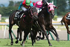 吉田豊騎手 - The Interview