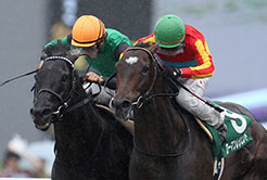 牧つばさ調教助手 - The Interview