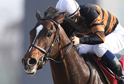 押田道郎調教助手 - The Interview