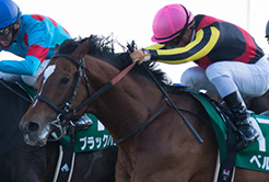 岩澤一詩調教助手 - The Interview