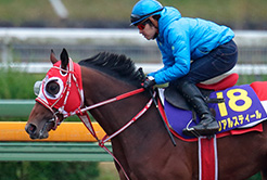 渋田康弘調教助手 - The Interview