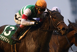 酒井貴之調教助手 - The Interview