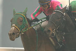 相田一善調教助手 - The Interview