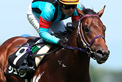 千野智康調教助手 - The Interview