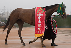 相田一善調教助手 - The Interview