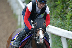 田中博司調教助手 - The Interview