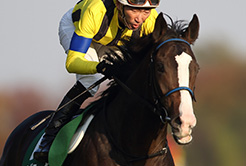 佐藤良児調教助手 - The Interview