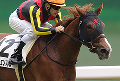 高木大輔調教助手 - The Interview