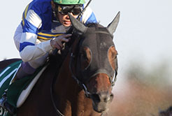 庄野靖志調教師 - The Interview