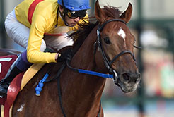 村山明調教師 - The Interview