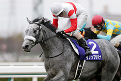 国枝栄調教師 - The Interview