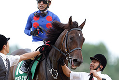 菊沢隆徳調教師 - The Interview