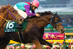 尾関知人調教師 - The Interview