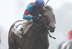 小島茂之調教師 - The Interview