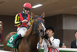 高木大輔調教助手 - The Interview