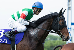 荻野仁＆藤野陽平調教助手(藤原英昭厩舎) - The Interview