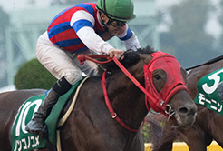 加藤征弘調教師
 - The Interview