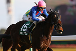 菊沢隆徳調教師 - The Interview