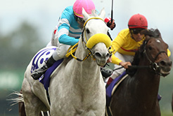 高木登調教師 - The Interview