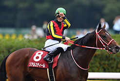 リアルスティールの柿崎慎調教助手 - The Interview