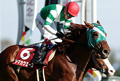 ヤマカツエースの土屋均調教助手 - The Interview