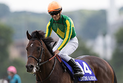 サトノアラジンの兼武弘調教助手 - The Interview