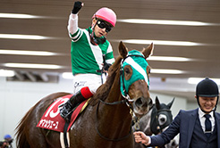 池添兼雄厩舎・土屋均調教助手 - The Interview