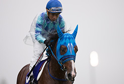 浅見秀一厩舎・若松敏和厩務員 - The Interview