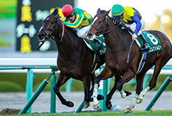 池江泰寿厩舎の兼武弘調教助手 - The Interview