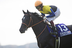 角居勝彦厩舎の上村典久調教助手 - The Interview