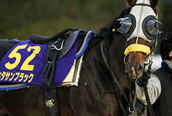 清水久詞厩舎の辻田義幸厩務員 - The Interview