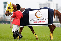 高木登厩舎 - The Interview