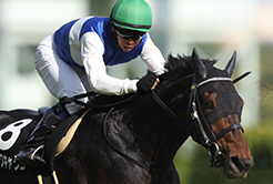 ダイワキャグニーの菊沢隆徳調教師 - The Interview