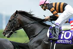 キタサンブラックの清水久詞調教師 - The Interview