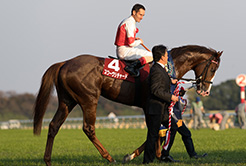 庄野靖志調教師 - The Interview