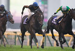 キタサンブラックの清水久詞調教師 - The Interview