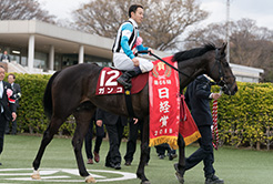 松元茂樹厩舎の中村周平調教助手 - The Interview