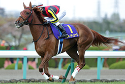 松永幹夫厩舎の丸内永舟調教助手 - The Interview