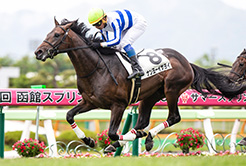 松永幹夫厩舎の額田洋介調教助手 - The Interview