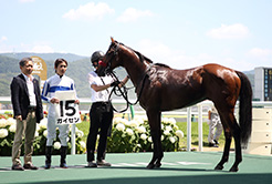 岩戸孝樹厩舎の粕谷学調教助手 - The Interview