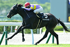 森田直行調教師 - The Interview