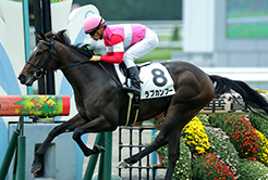 森田直行調教師 - The Interview