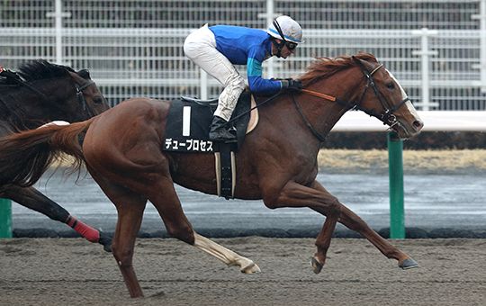 安田隆行厩舎・安田景一朗調教助手 - The Interview