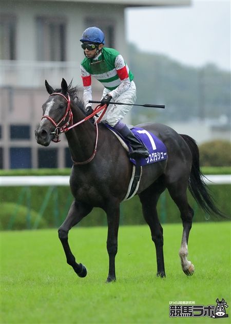 リスグラシュー"