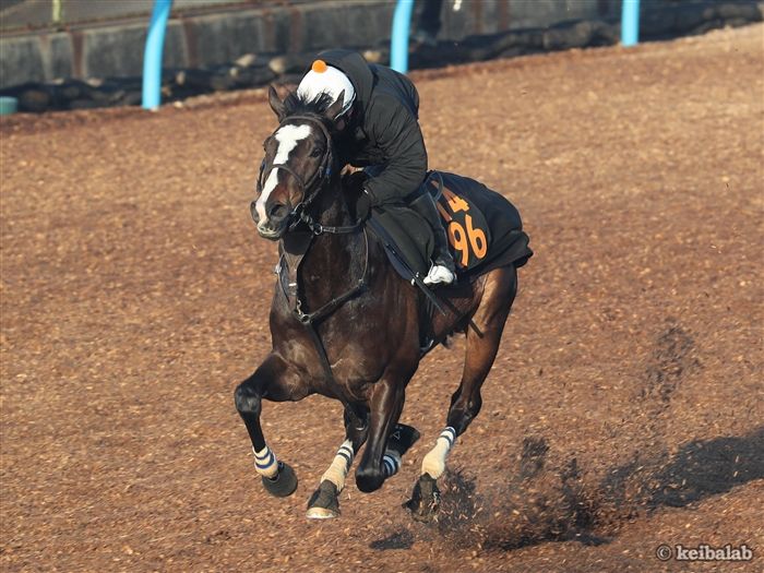 ラーグルフ Lagulf 競走馬データベース 競馬ラボ