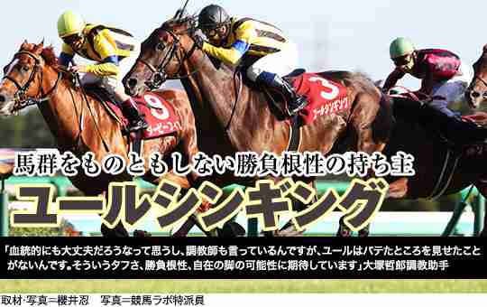 大塚哲郎調教助手