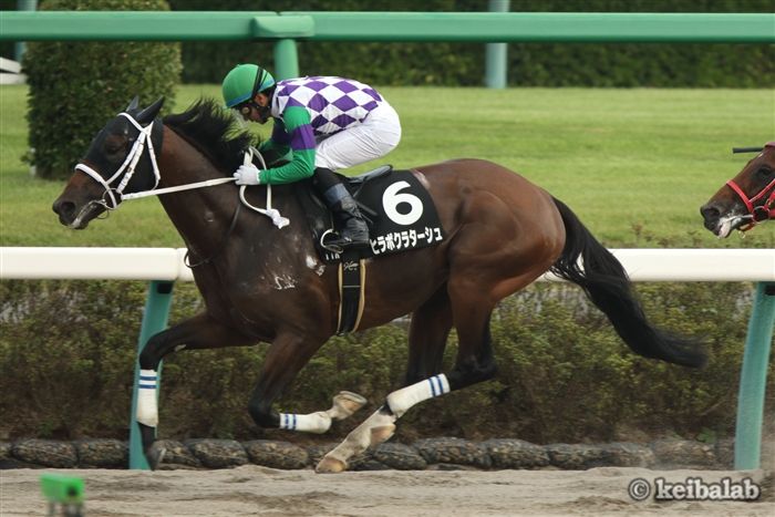 ラジオ日本賞の過去10年データ 好走馬一覧 18年9月16日中山11r 競馬ラボ