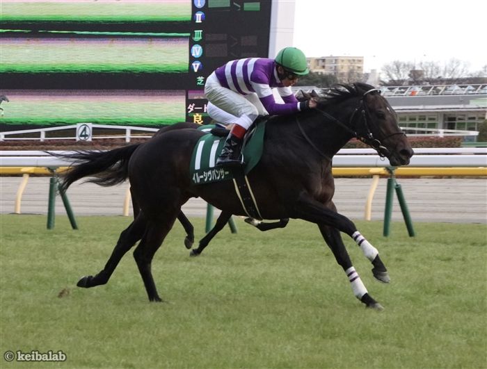 重賞ゲッツ ２０２２上半期 水上学 著者 革命競馬 ｇi ｇiii６６レース攻略編 信頼 ｇi ｇiii６６レース攻略編